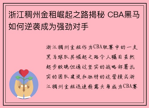 浙江稠州金租崛起之路揭秘 CBA黑马如何逆袭成为强劲对手